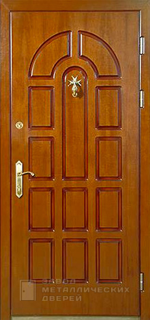 Фото «Дверь с терморазрывом №33» в Электроуглям