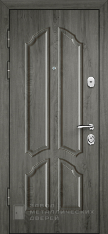 Фото «Дверь с терморазрывом №35» в Электроуглям