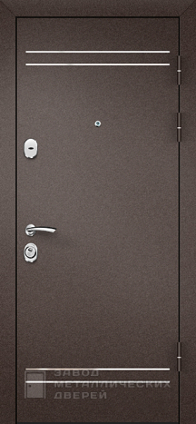 Фото «Дверь с терморазрывом №51» в Электроуглям